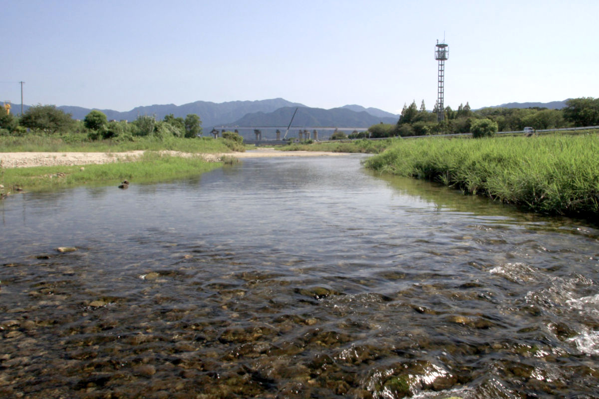 室見川