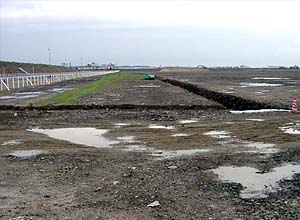 更地の人工島